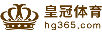Logo 鼎福国际体育